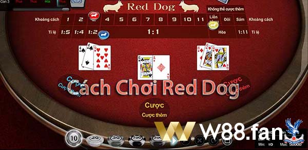 Khám phá cách chơi Red Dog tại nhà cái trực tuyến