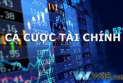 Tìm hiểu các loại cược tài chính tại nhà cái hiện nay