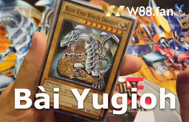 Hướng dẫn cách chơi bài Yugioh chi tiết và dễ hiểu nhất