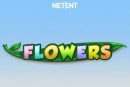 Khám phá cách chơi Flowers Slot trực tuyến chi tiết