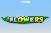 Khám phá cách chơi Flowers Slot trực tuyến chi tiết