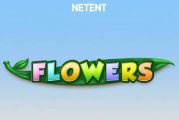 Khám phá cách chơi Flowers Slot trực tuyến chi tiết