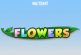 Khám phá cách chơi Flowers Slot trực tuyến chi tiết